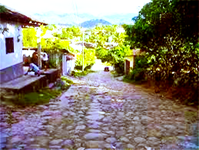 Guatemala Huehuetenango Wholebean-img