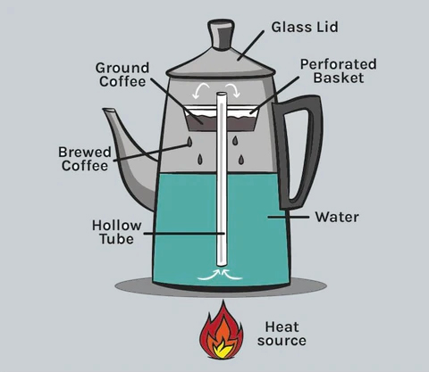 An illustrative diagram of a stovetop coffee percolator showing its functional components: the glass lid, perforated basket filled with ground coffee, the central hollow tube, and the lower chamber containing water, placed over a heat source. This clear and informative image guides users through the percolating process, where steam rises through the tube, infuses with the coffee grounds, and the brew percolates back down into the water chamber, ready to be enjoyed.