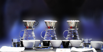 Three pour-over brew stations set for a barista competition, highlighting the precision and skill in pour-over technique as competitors aim to extract the perfect flavor profile from single-origin beans.